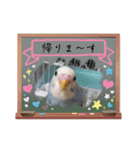 インコちゃん達のスタンプ（個別スタンプ：2）