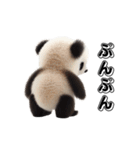 赤ちゃんパンダのもふもふスタンプ（個別スタンプ：25）