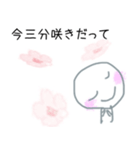 【お花見専用スタンプ】毎年使えます！（個別スタンプ：15）