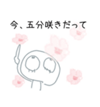 【お花見専用スタンプ】毎年使えます！（個別スタンプ：16）