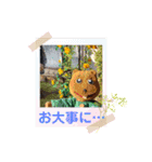 人形劇団かもめくらぶ3（個別スタンプ：14）
