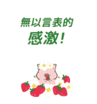 【BIG・中文】トン野さん-お花に囲まれて-（個別スタンプ：24）