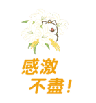【BIG・中文】トン野さん-お花に囲まれて-（個別スタンプ：31）