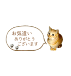 茶トラ 省スペース 敬語 吹き出し スタンプ（個別スタンプ：19）