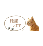 茶トラ 省スペース 敬語 吹き出し スタンプ（個別スタンプ：32）