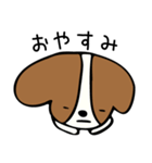 キャバリアだけどボブヘア（個別スタンプ：6）