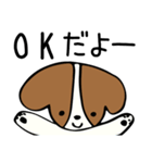キャバリアだけどボブヘア（個別スタンプ：11）