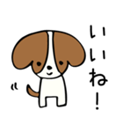 キャバリアだけどボブヘア（個別スタンプ：17）