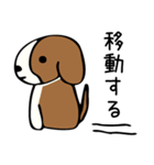 キャバリアだけどボブヘア（個別スタンプ：24）