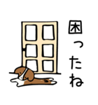 キャバリアだけどボブヘア（個別スタンプ：38）