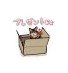 うちのねこ（キジトラスタンプ）（個別スタンプ：8）