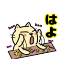 毎日使えるクセ猫スタンプ③〜関西弁風〜（個別スタンプ：31）