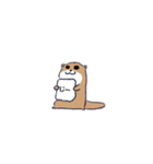 無口なカワウソ君（個別スタンプ：13）