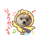 ぷりん♀（個別スタンプ：6）