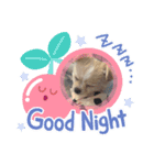 ぷりん♀（個別スタンプ：8）