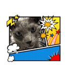 ねこねこぴのこ5（個別スタンプ：3）