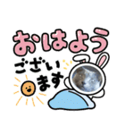 ねこねこぴのこ5（個別スタンプ：7）