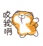 ランラン猫 42 (台湾版)（個別スタンプ：3）
