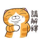 ランラン猫 42 (台湾版)（個別スタンプ：13）