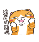 ランラン猫 42 (台湾版)（個別スタンプ：15）