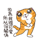 ランラン猫 42 (台湾版)（個別スタンプ：19）