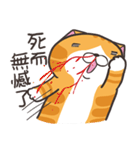 ランラン猫 42 (台湾版)（個別スタンプ：24）