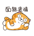 ランラン猫 42 (台湾版)（個別スタンプ：35）
