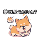 私は柴犬です！（個別スタンプ：8）