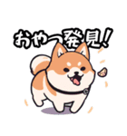 私は柴犬です！（個別スタンプ：16）