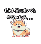 私は柴犬です！（個別スタンプ：19）