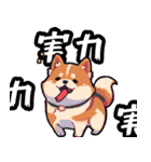 私は柴犬です！（個別スタンプ：24）