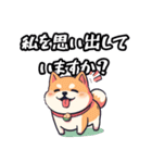 私は柴犬です！（個別スタンプ：29）