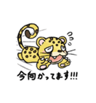 それはそれはかわいい動物スタンプ（個別スタンプ：8）