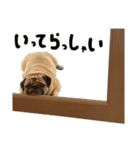 Pugゲッペイ（個別スタンプ：19）