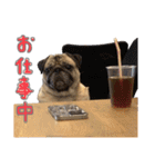 Pugゲッペイ（個別スタンプ：26）