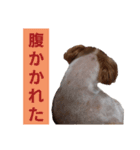 こっちゃん(4)（個別スタンプ：5）