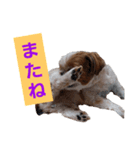 こっちゃん(4)（個別スタンプ：8）