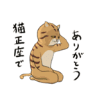 猫カオス（修正版）（個別スタンプ：15）