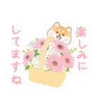 花としばいぬスタンプ(日本語)（個別スタンプ：14）