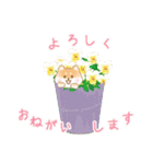 花としばいぬスタンプ(日本語)（個別スタンプ：24）