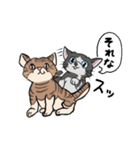 猫のスタンプ(猫)（個別スタンプ：12）