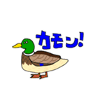 ダジャレ下手くそかよ（個別スタンプ：12）