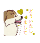 てんねん秋田犬の向垢くん。（個別スタンプ：7）