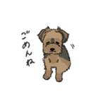 2月1日生まれ元気な男の子 2（個別スタンプ：15）