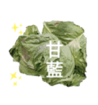 台湾人の繁体字で野菜のライン野菜写真（個別スタンプ：6）