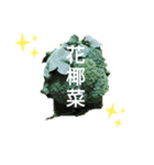 台湾人の繁体字で野菜のライン野菜写真（個別スタンプ：20）