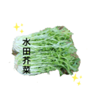台湾人の繁体字で野菜のライン野菜写真（個別スタンプ：27）
