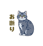 猫図鑑：日常万能編（個別スタンプ：11）