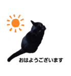 黒猫のクロ【CAT】❤️（個別スタンプ：1）