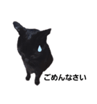黒猫のクロ【CAT】❤️（個別スタンプ：4）